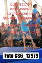 CS6_12979