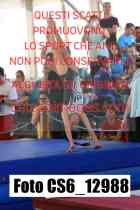 CS6_12988