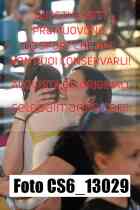 CS6_13029