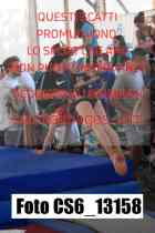 CS6_13158