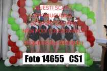 14655_CS1-