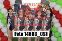 14663_CS1-