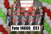 14666_CS1-