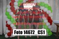 14672_CS1-