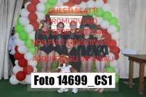 14699_CS1-