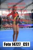 14727_CS1-