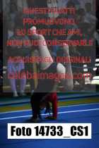 14733_CS1-
