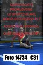 14734_CS1-