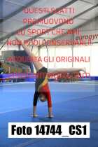 14744_CS1-