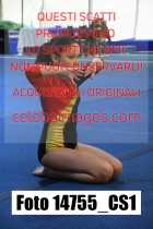 14755_CS1-
