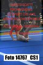14767_CS1-