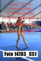 14783_CS1-