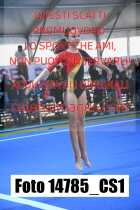 14785_CS1-