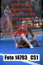 14793_CS1-