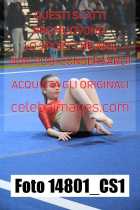14801_CS1-