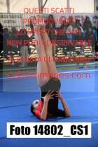 14802_CS1-