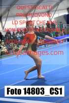 14803_CS1-