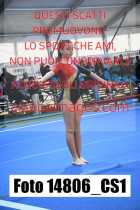 14806_CS1-