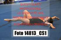 14813_CS1-