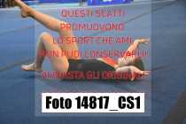 14817_CS1-