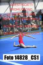 14828_CS1-