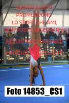 14853_CS1-