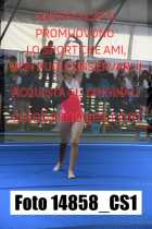 14858_CS1-