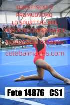 14876_CS1-