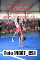14887_CS1-