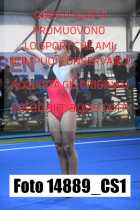 14889_CS1-