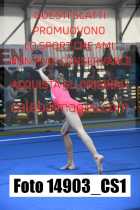 14903_CS1-