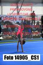 14905_CS1-