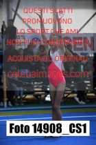 14908_CS1-
