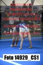 14929_CS1-