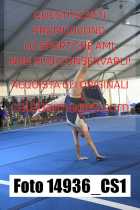 14936_CS1-