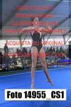 14955_CS1-