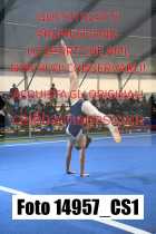 14957_CS1-