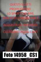 14958_CS1-