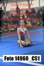 14960_CS1-