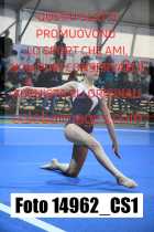 14962_CS1-