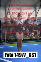 14977_CS1-