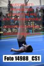 14988_CS1-