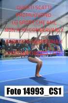 14993_CS1-