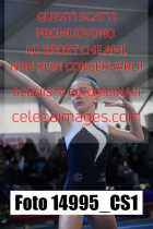 14995_CS1-