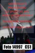 14997_CS1-
