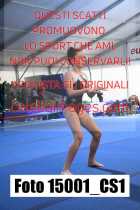 15001_CS1-