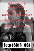 15014_CS1-
