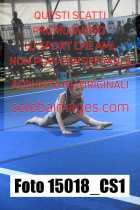 15018_CS1-