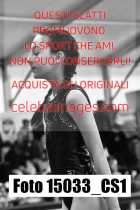 15033_CS1-