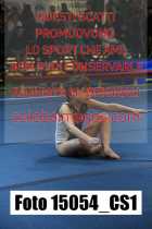 15054_CS1-